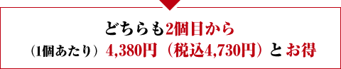 どちらも2個目から(1個あたり)4,380円(税込4,730円)と割引
